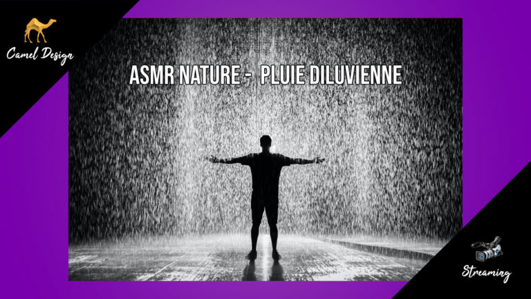 ASMR Nature : pluie diluvienne