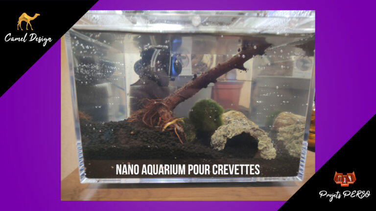 miniature projets perso d'un aquarium nano pour crevettes par camel design